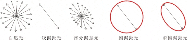 什么是偏振光?偏振光是如何完成檢測的? 什么是偏振光?偏振光是如何完成檢測的?