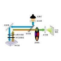 什么是熒光定量PCR、數(shù)字PCR？