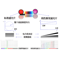 線性漸變?yōu)V光片是什么？有何特點(diǎn)？