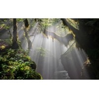 光的干涉、衍射、折射、反射、散射
